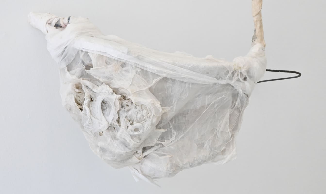 Img1_2025VictorOrtuño_Entrevistas_RodrigoCarreño