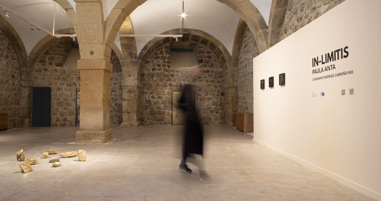 Img4_2021InLimitis_Comisariado_RodrigoCarreño