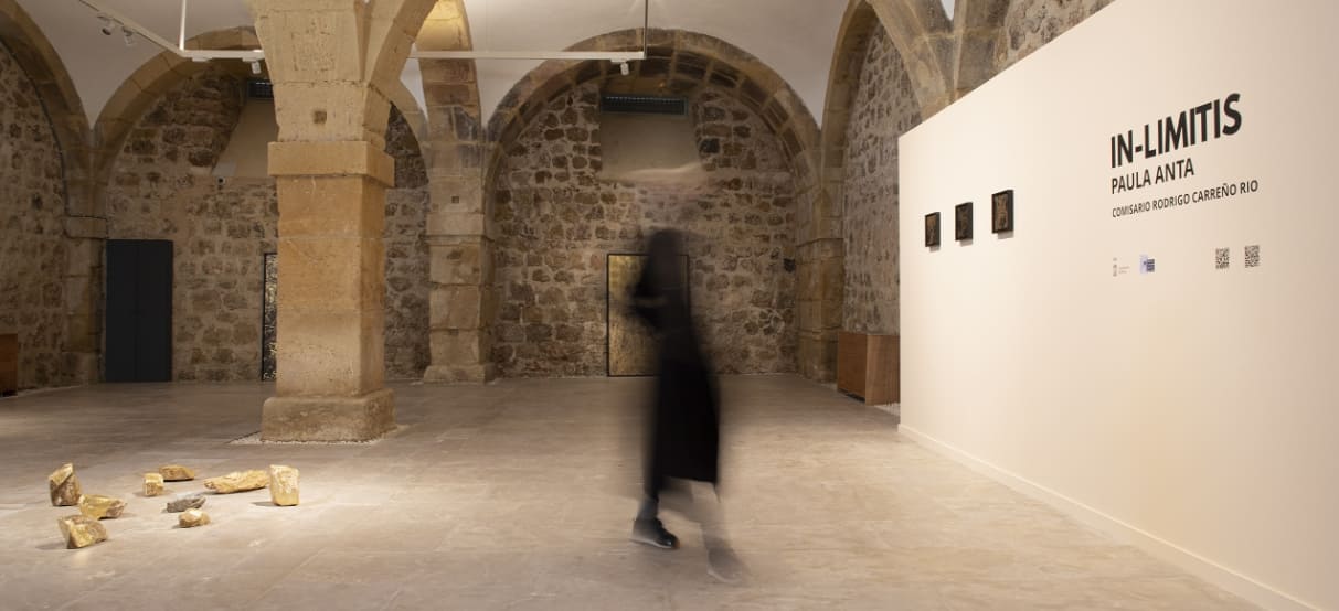 Img_2020InLimitis_Comisariado_RodrigoCarreño