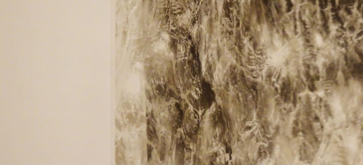 Img_2024AnteElAzar_Comisariado_RodrigoCarreño